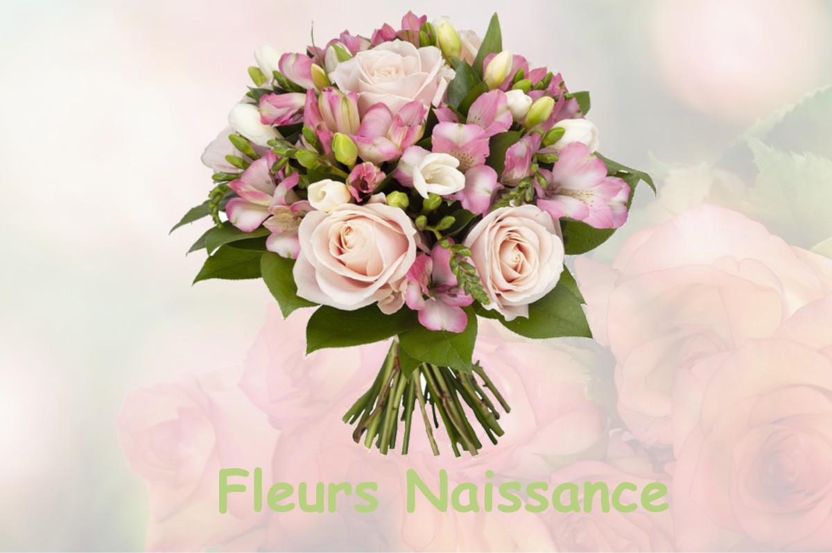 fleurs naissance BERNEUIL-SUR-AISNE